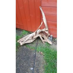 Bog wood/Drift wood pieces ?2- ?20