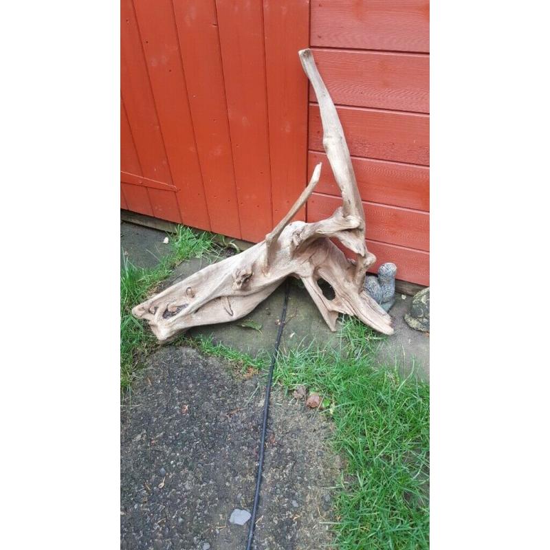 Bog wood/Drift wood pieces ?2- ?20