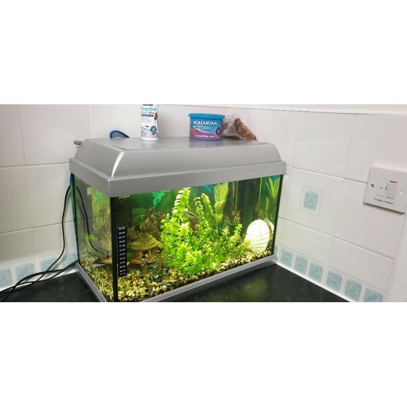 Fish Tank with Fish and Accessories