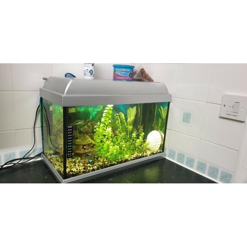 Fish Tank with Fish and Accessories