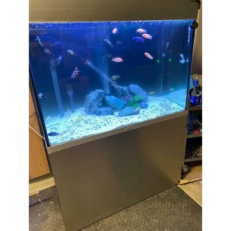 Fluval Fish tank 275l