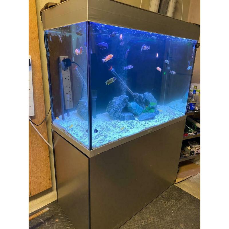 Fluval Fish tank 275l