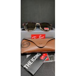 Ray-ban clubmaster sunglasses tortoishell