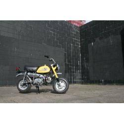 1976 Classic Honda Monkey Bike Z50 J1 Stunning Classic Motorbike/Mini Bike