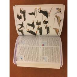 Helm Field Guide - Birds of East Asia