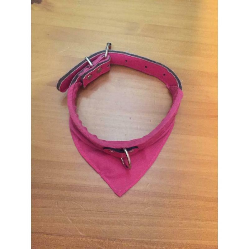 Pink dog collar small