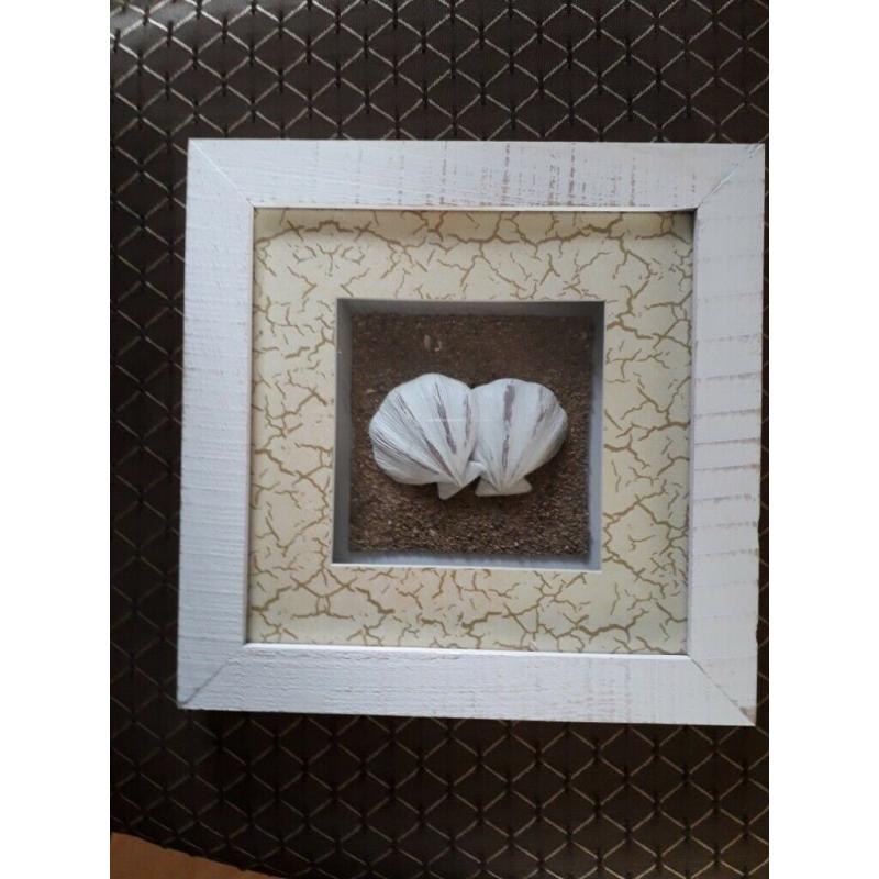 Set of 3 framed nauticalia displays