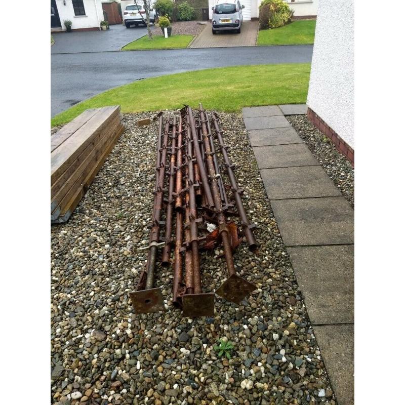 Selection of Scaffold. Coleraine